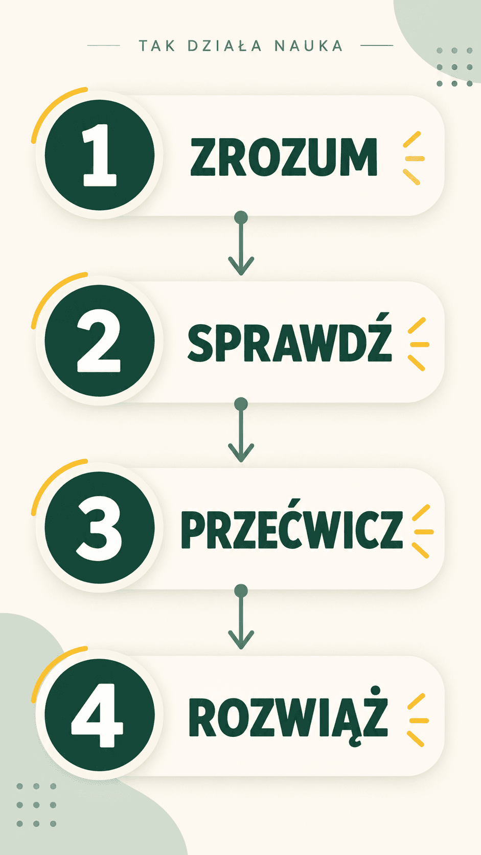 Cztery etapy nauki na platformie: zrozum, sprawdź, przećwicz i rozwiąż